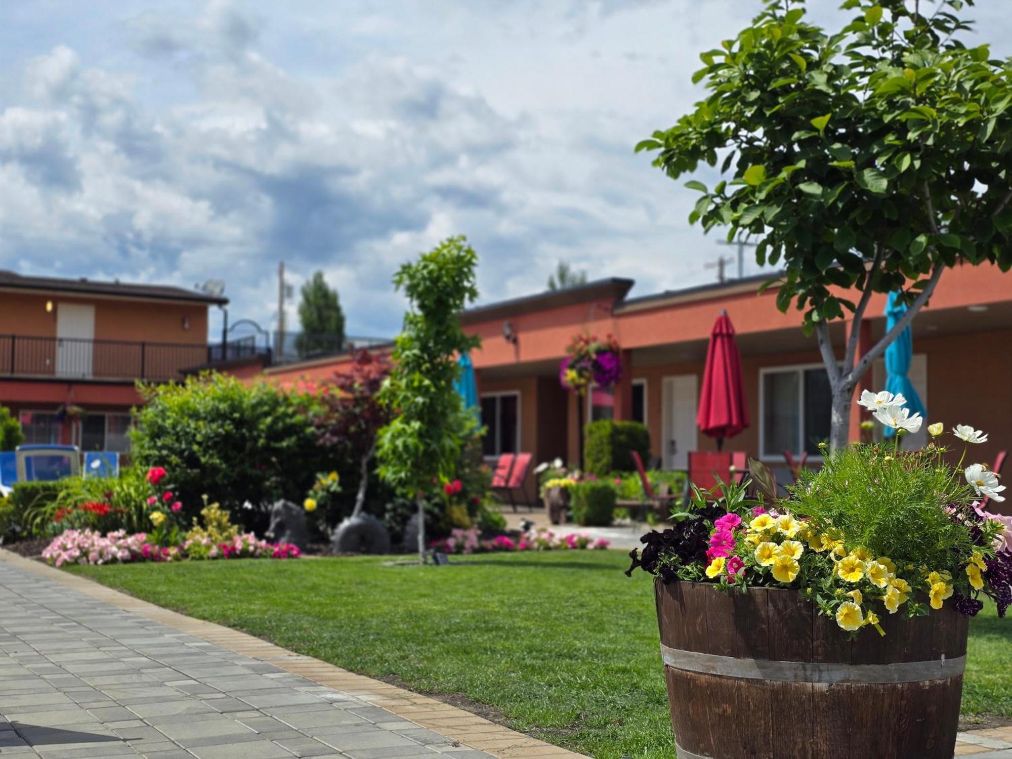 Sahara Courtyard Inn & Suites オソヨース エクステリア 写真